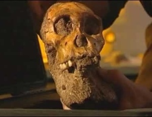 Crânio do Australopithecus sediba, encontrado em Malapa, África do Sul