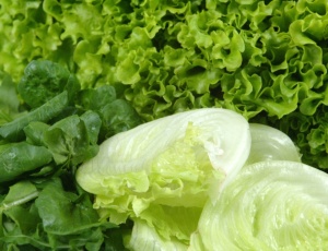 Comer uma ou meia porção extra de vegetais verdes reduziria em 14% o risco de diabetes