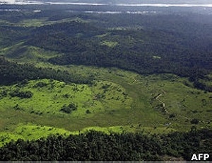 Área desmatada no Xingu em 2005; conversão de floresta para agricultura é maior na América do Sul