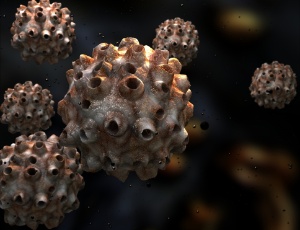 HPV - papilomavírus humano
