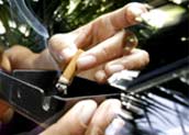 Renato Stockler/Folha Imagem Renato Stockler/Folha Imagem