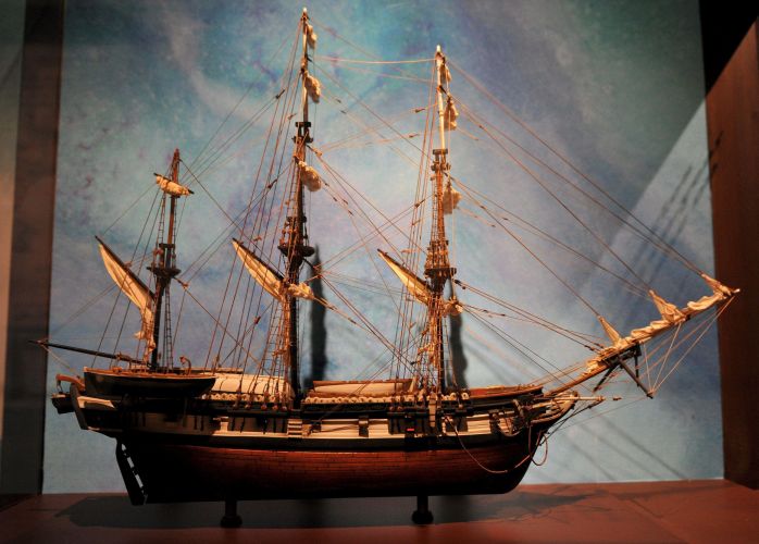 200 anos de Charles Darwin Fotos Ciência