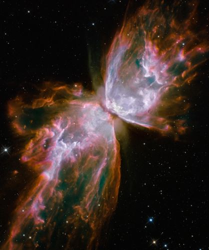 Nebulosa Borboleta