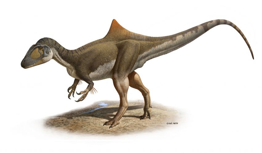 Dinossauro estranho