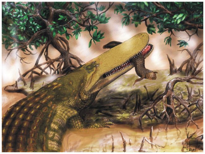 Crocodilo pré-histórico