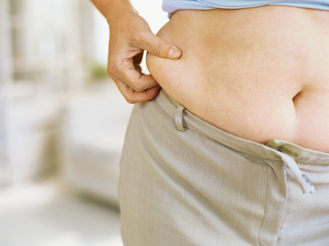 Cientistas identificam e regulam gene da gordura