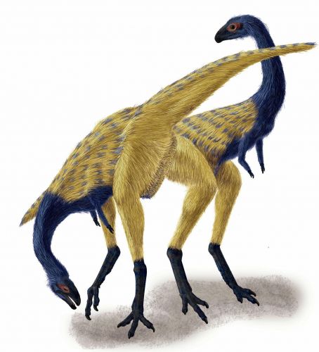 Dinossauro chinês 3