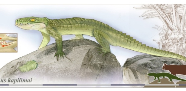 Ilustração de ancestral de crocodilo que mastigava como mamíferos; veja no álbum - AFP/Zina Deretsky/National Science Foundation