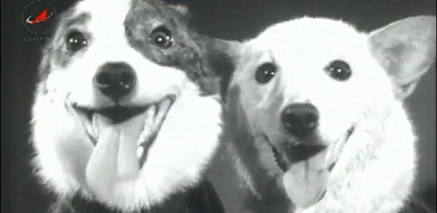 Belka e Strelka, em 1960; as cadelas viraram personagens de animação; veja - Agência Espacial Federal Russa