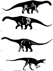Arte T.Tischler /Australian age of dinosaurs Arte T.Tischler /Australian age of dinosaurs